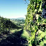 Tenuta Santini