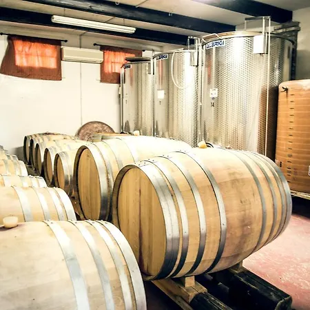 Tenuta Santini Séjour à la ferme Coriano