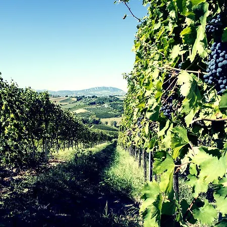 Tenuta Santini