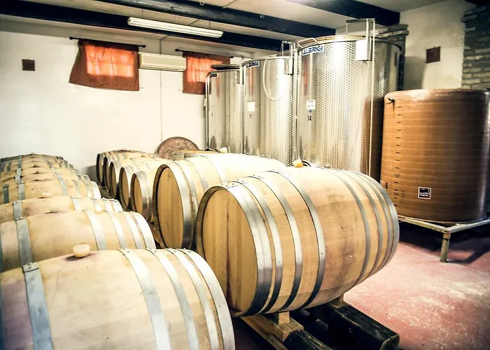 Tenuta Santini Κατάλυμα σε φάρμα Κοριάνο