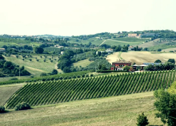 Tenuta Santini 农家乐